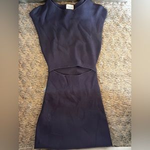 Aritzia Dress